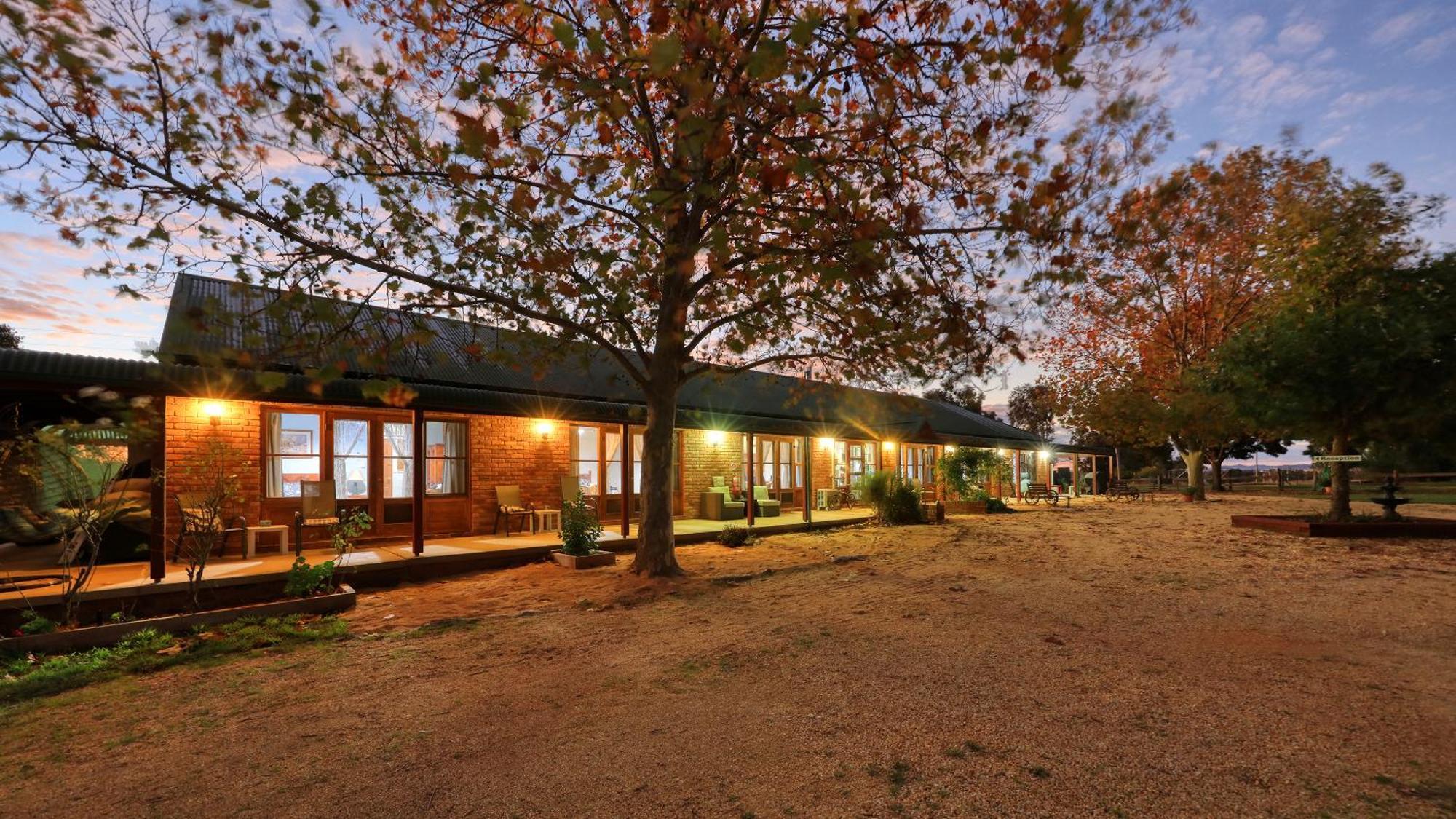 The Vineyard Motel 코우라 외부 사진